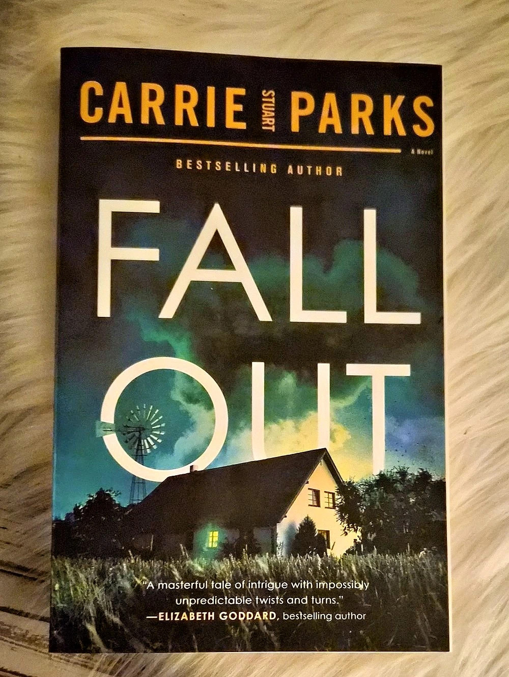 Thomas Nelson Fall Out by Carrie Stuart Parks Paperback Novel